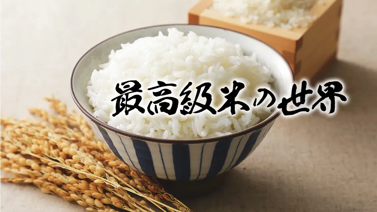 最高級米